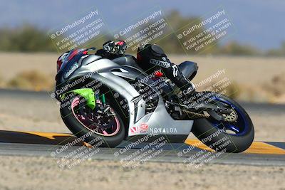 media/Jan-14-2024-SoCal Trackdays (Sun) [[2e55ec21a6]]/Turn 4 Tree of Life (155pm)/